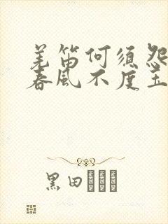 羌笛何须怨杨柳春风不度玉门关是什么意思