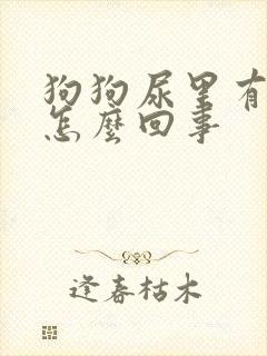 狗狗尿里有血是怎么回事