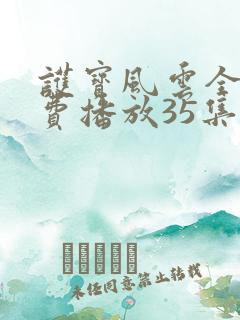 护宝风云全集免费播放35集