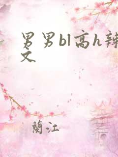 男男bl高h辣文