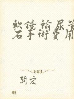 软镜 输尿管结石手术费用