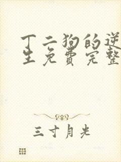 丁二狗的逆袭人生免费完整版