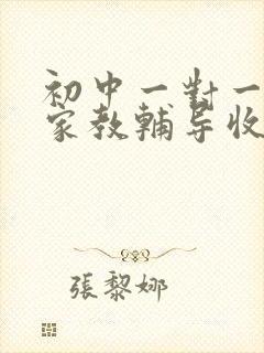 初中一对一上门家教辅导收费