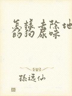 怎样去除地板上的狗尿味