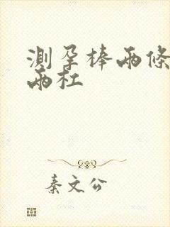 测孕棒两条红线两杠