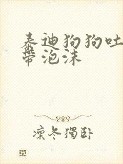 泰迪狗狗吐黄水带泡沫