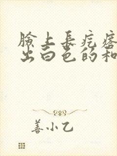 脸上长疙瘩一挤出白色的和脓