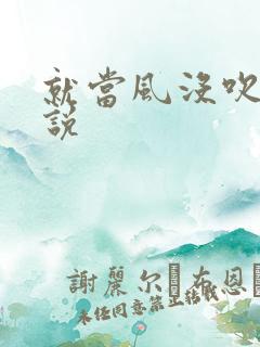 就当风没吹过小说