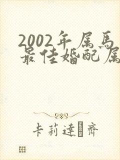 2002年属马最佳婚配属相是什么