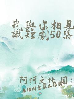 我与你相见不相识短剧50集剧情介绍