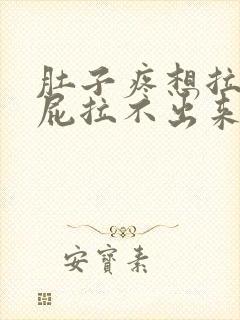 肚子疼想拉屎放屁拉不出来怎么回事