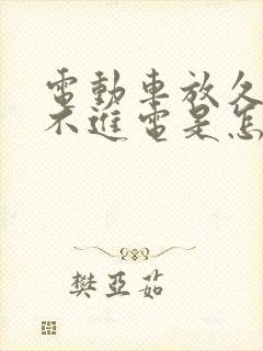 电动车放久了充不进电是怎么回事