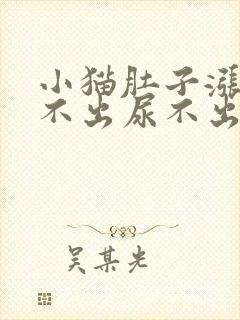 小猫肚子涨大拉不出尿不出来