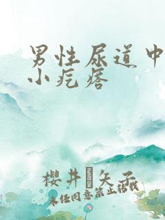 男性尿道中间长小疙瘩