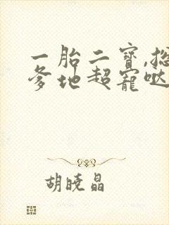 一胎二宝,总裁爹地超宠哒 小说