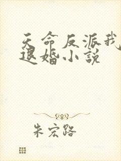 天命反派我拒绝退婚小说