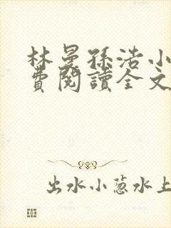 林曼孙浩小说免费阅读全文最新章节