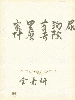 家里有狗尿味用什么去除