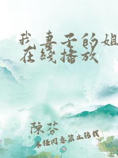 我妻子的姐姐3在线播放