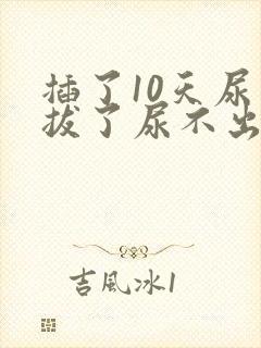 插了10天尿管拔了尿不出来怎么回事