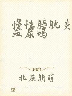 慢性膀胱炎会有血尿吗