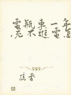 电瓶车一年没骑,充不进电怎么办?