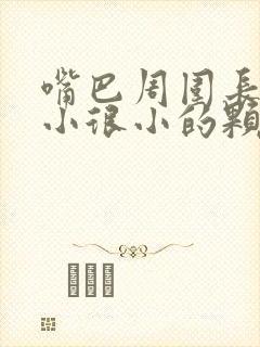 嘴巴周围长了很小很小的颗粒