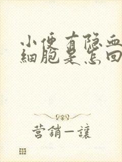 小便有隐血和白细胞是怎回事