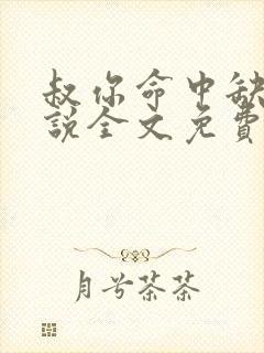 叔你命中缺我小说全文免费阅读