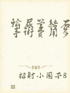 输尿管结石软镜手术费用多少