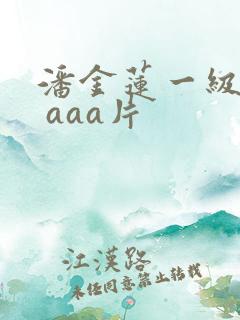 潘金莲一级淫a aaa片