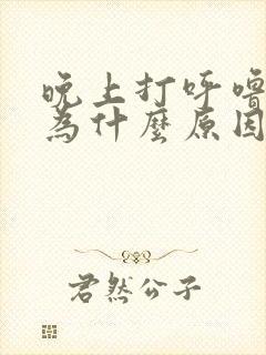 晚上打呼噜是因为什么原因引起的