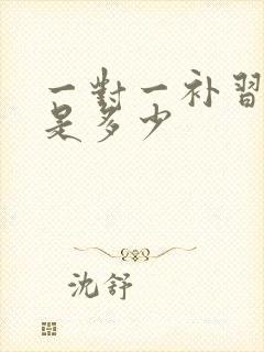 一对一补习费用是多少