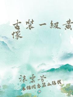 古装一级黄色录像