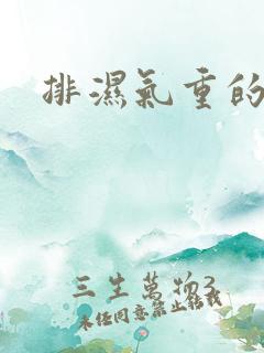 排湿气重的症状