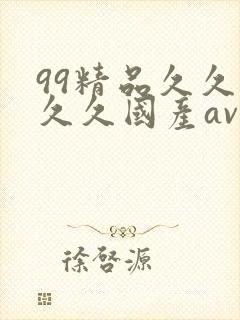 99精品久久久久久国产av