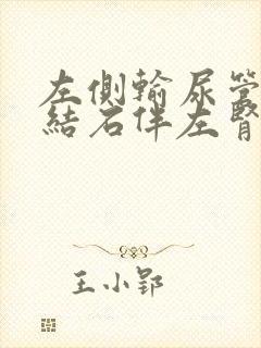 左侧输尿管下段结石伴左肾积水