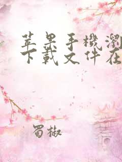 苹果手机浏览器下载文件在哪里