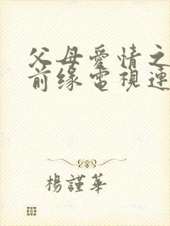 父母爱情之再续前缘电视连续剧