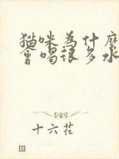 猫咪为什么每天会喝很多水尿很少