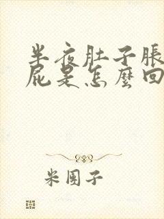 半夜肚子胀气放屁是怎么回事