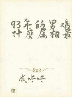 93年的男鸡配什么属相最好