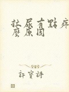 拉尿有点疼是什么原因