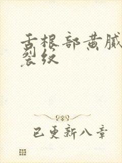 舌根部黄腻苔有裂纹