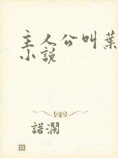 主人公叫叶观的小说