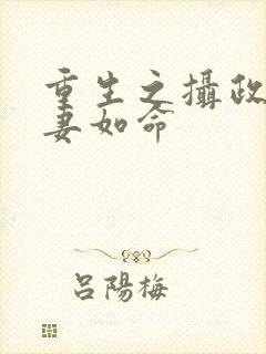 重生之摄政王宠妻如命