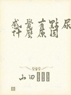 感觉有点尿频是什么原因