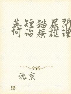 英短猫尿闭症如何治疗护理