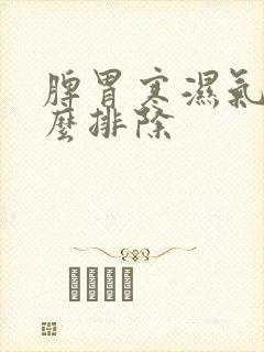 脾胃寒湿气重怎么排除