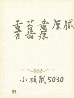 舌苔黄厚腻两边有齿痕